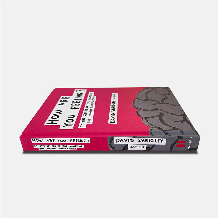David Shrigley David Shrigley Books - How Are You Feeling? (2012)