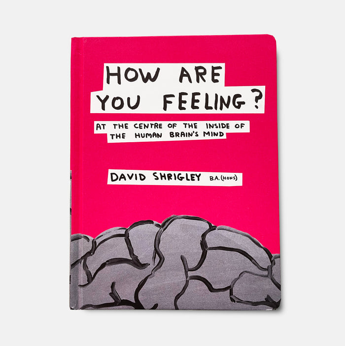 david shrigley David Shrigley Books - How Are You Feeling? (2012)