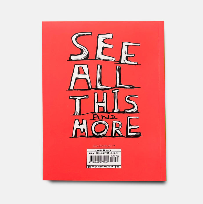 David Shrigley David Shrigley Books - What The Hell Are You Doing? The Essential David Shrigley