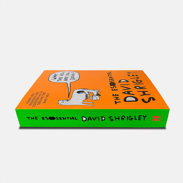 David Shrigley David Shrigley Books - What The Hell Are You Doing? The Essential David Shrigley
