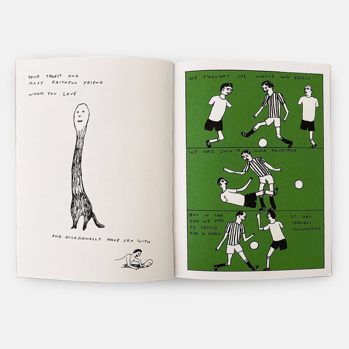 David Shrigley David Shrigley Books - What The Hell Are You Doing? The Essential David Shrigley