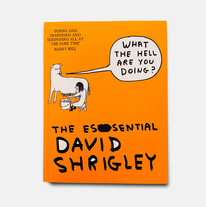 david shrigley David Shrigley Books - What the Hell Are You Doing? The Essential David Shrigley