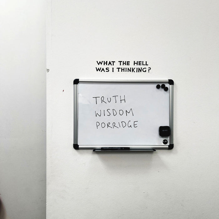 David Shrigley David Shrigley Bumper Stickers - What The Hell Was I Thinking?