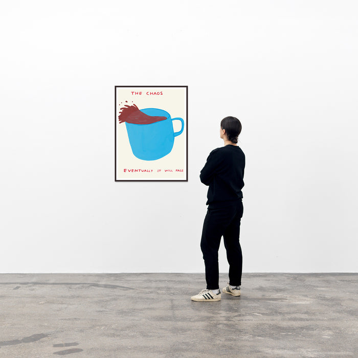 David Shrigley David Shrigley Posters - The Chaos