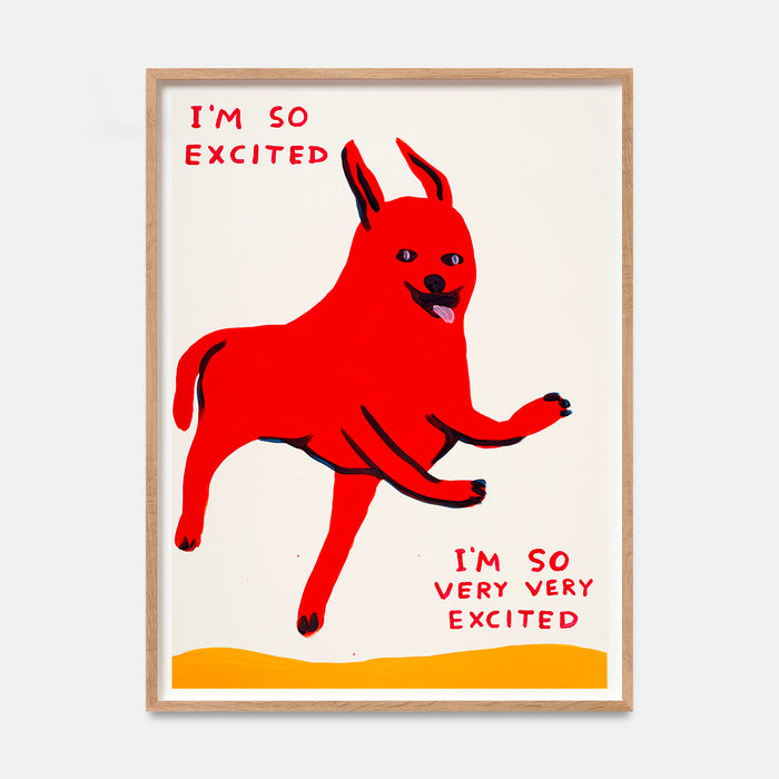 david shrigley David Shrigley Limited Edition - I'm So Excited (2022)