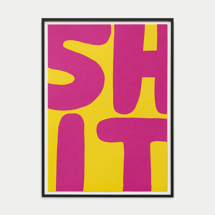 david shrigley David Shrigley Limited Edition - Untitled (Shit) (2012)