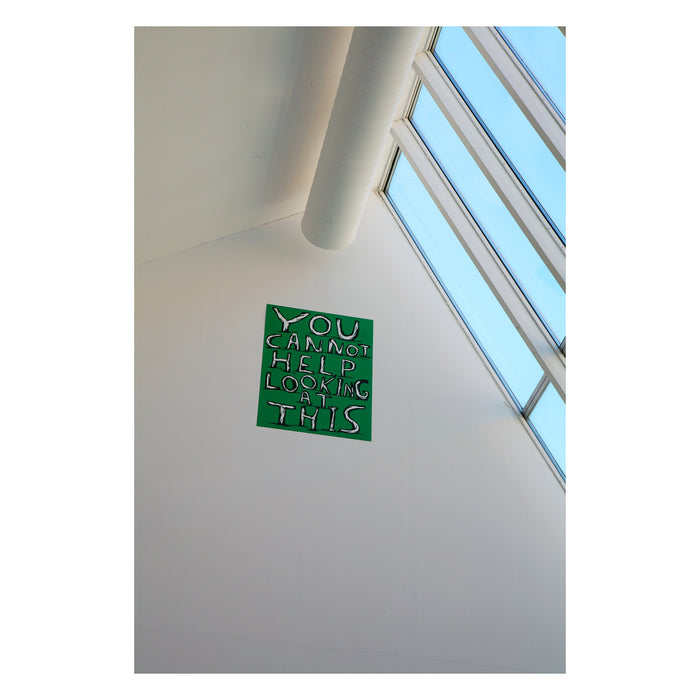 David Shrigley David Shrigley Limited Edition - Untitled (You Cannot Help Looking At This) (2007)