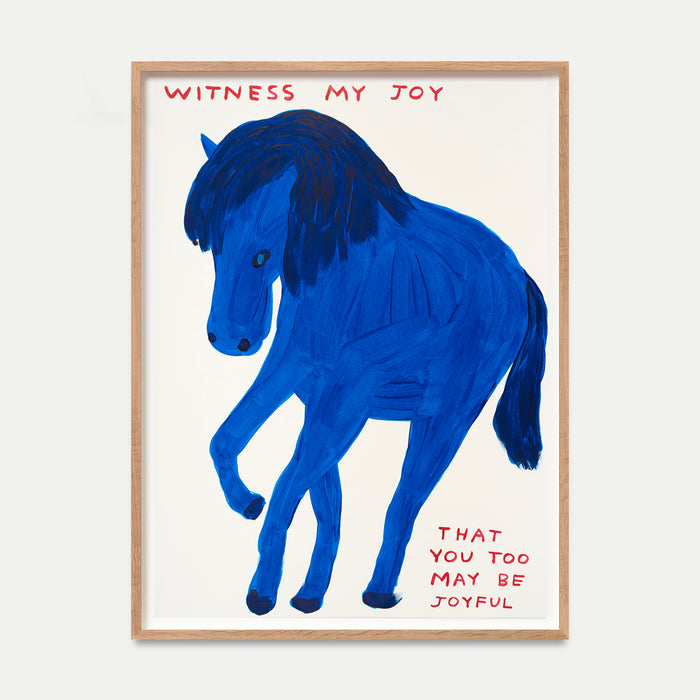 david shrigley David Shrigley Limited Edition - Witness My Joy (2022) david shrigley David Shrigley Limited Edition - Witness My Joy (2022)
