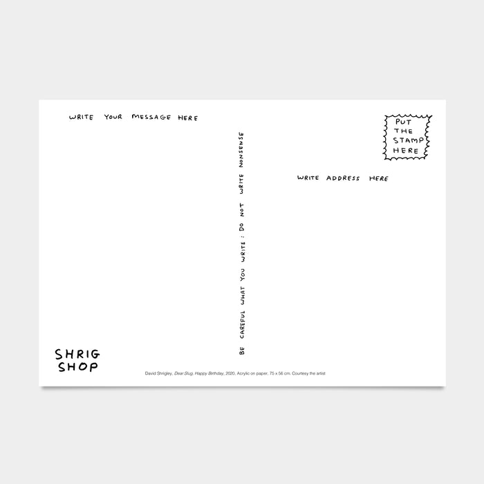 David Shrigley David Shrigley Postcards - Dear Slug Happy Birthday