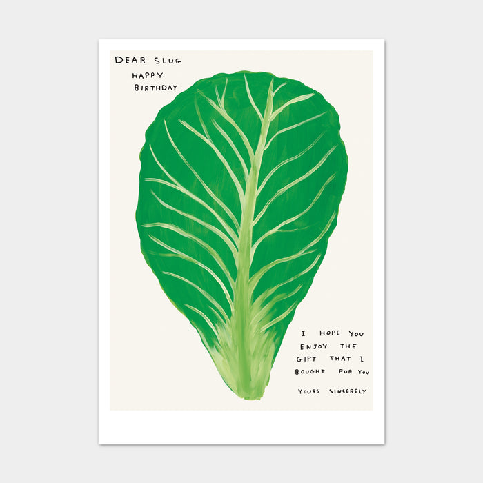 david shrigley David Shrigley Postcards - Dear Slug Happy Birthday