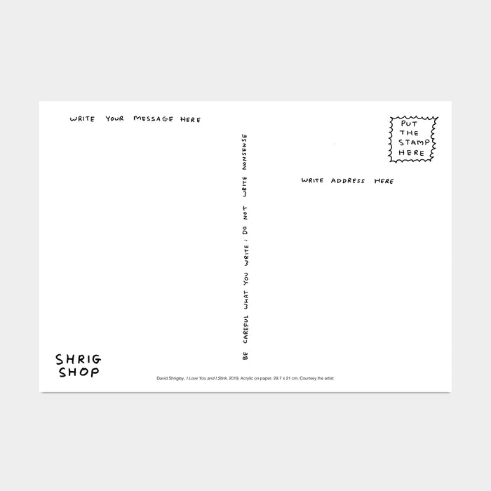 David Shrigley David Shrigley Postcards - I Love You And I Stink Skunk