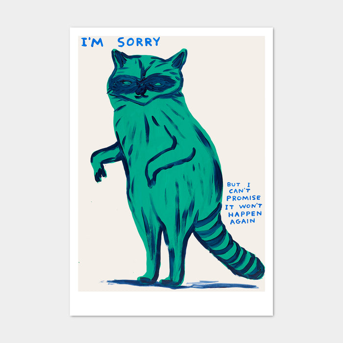 david shrigley David Shrigley Postcards - I'm Sorry I Can't Promise It Won't Happen Again