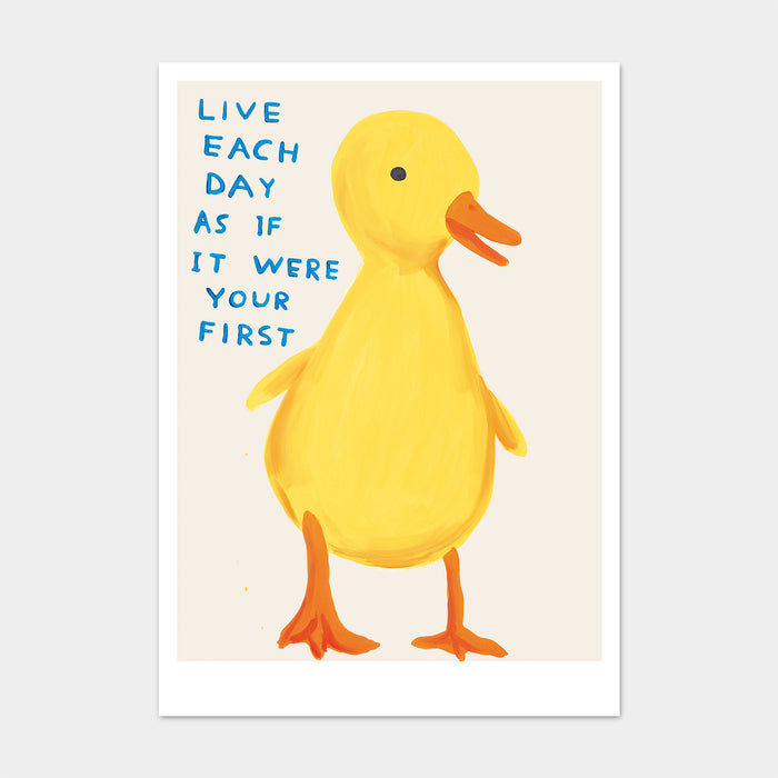 david shrigley David Shrigley Postcards - Live Each Day As If It Were Your First