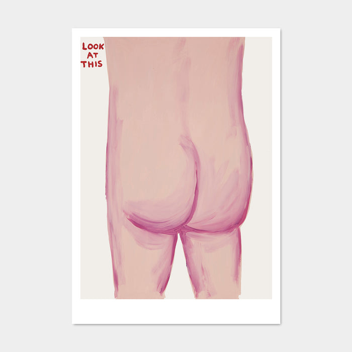 david shrigley David Shrigley Postcards - Look At This Bum