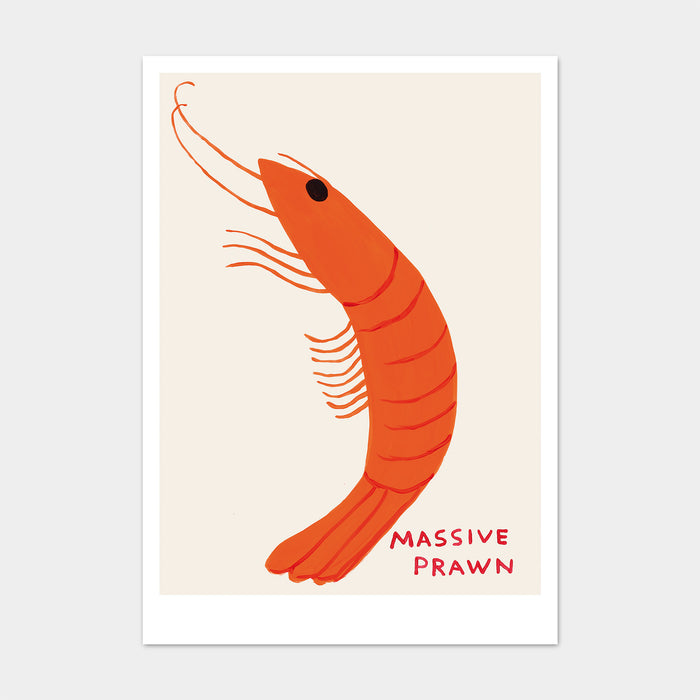 david shrigley David Shrigley Postcards - Massive Prawn