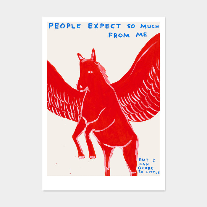 david shrigley David Shrigley Postcards - People Expect So Much From Me