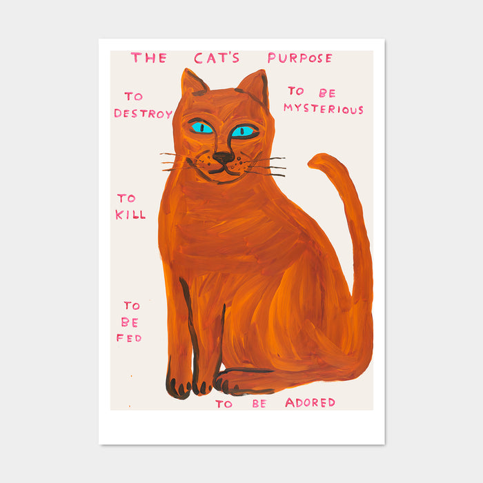 david shrigley David Shrigley Postcards - The Cat's Purpose david shrigley David Shrigley Postcards - The Cat's Purpose