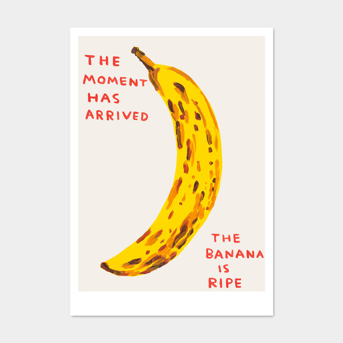 david shrigley David Shrigley Postcards - The Moment Has Arrived Banana david shrigley David Shrigley Postcards - The Moment Has Arrived Banana
