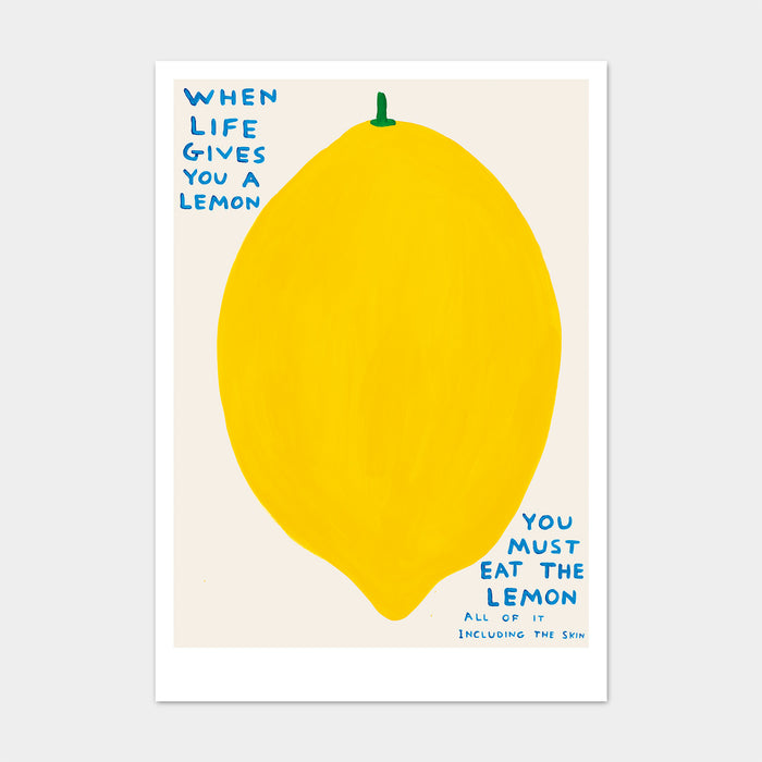 david shrigley David Shrigley Postcards - When Life Gives You A Lemon david shrigley David Shrigley Postcards - When Life Gives You A Lemon
