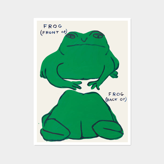 david shrigley David Shrigley Posters - Frog (Front Of) Frog (Back Of)