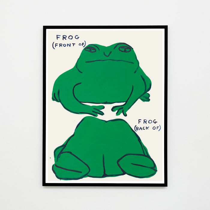 David Shrigley David Shrigley Posters - Frog (Front Of) Frog (Back Of)