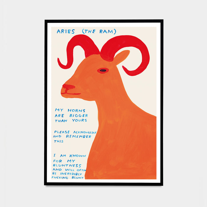 David Shrigley David Shrigley Posters - Signs Of The Zodiac