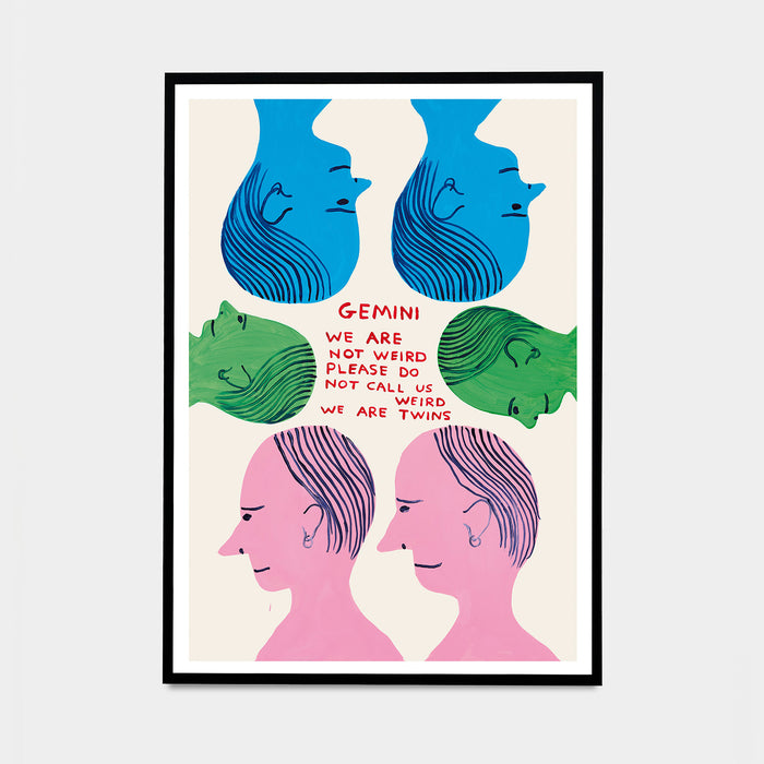 David Shrigley David Shrigley Posters - Signs Of The Zodiac