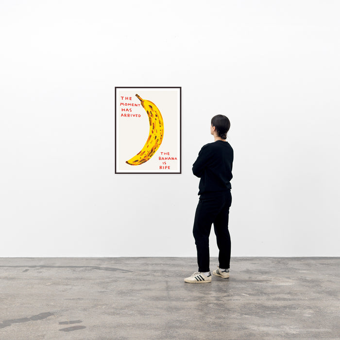 David Shrigley David Shrigley Posters - The Moment Has Arrived