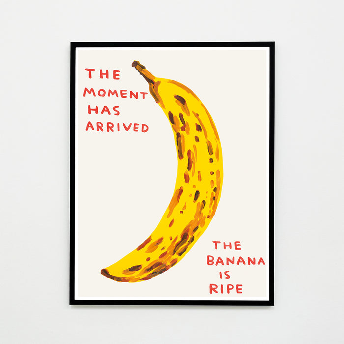 David Shrigley David Shrigley Posters - The Moment Has Arrived