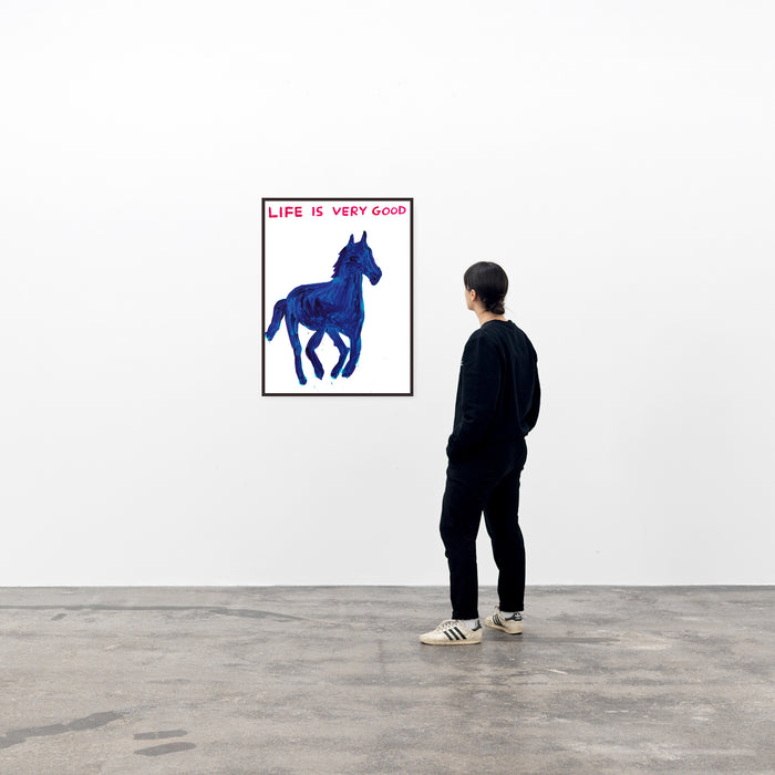 David Shrigley David Shrigley Slogan Posters - Life Is Very Good