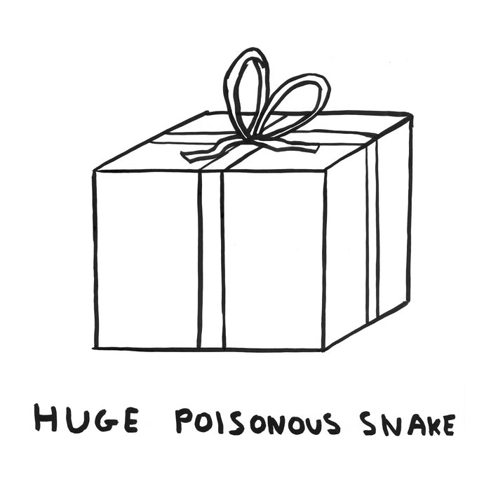 david shrigley The Gift of Shrig