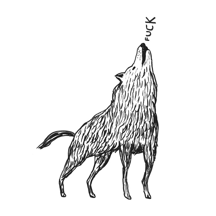 David Shrigley Official David Shrigley T-shirts - Unisex 100% Organic Cotton