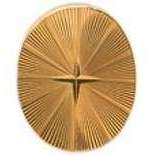 david van hagen Gold Starburst Oval Tie Tacs