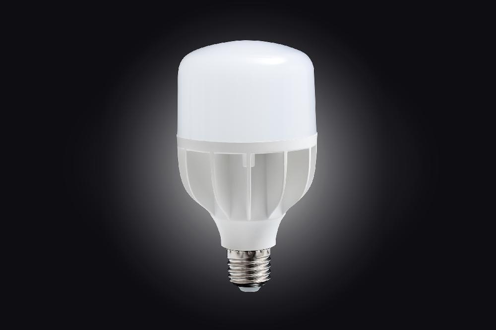 daylight company 18W Daylight LED Bulb