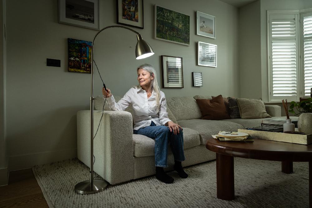 Daylight Company FlexiVision 2 Floor Lamp