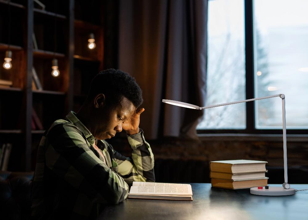 Daylight Company Tricolor