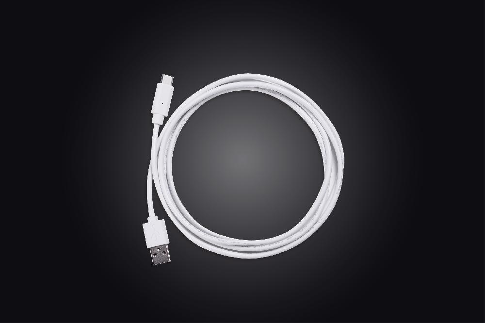daylight company USB-C Cable