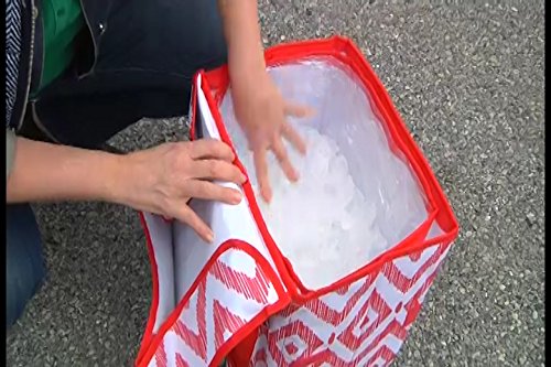 Dbest Products Cooler Smart Cart - Red Diamond