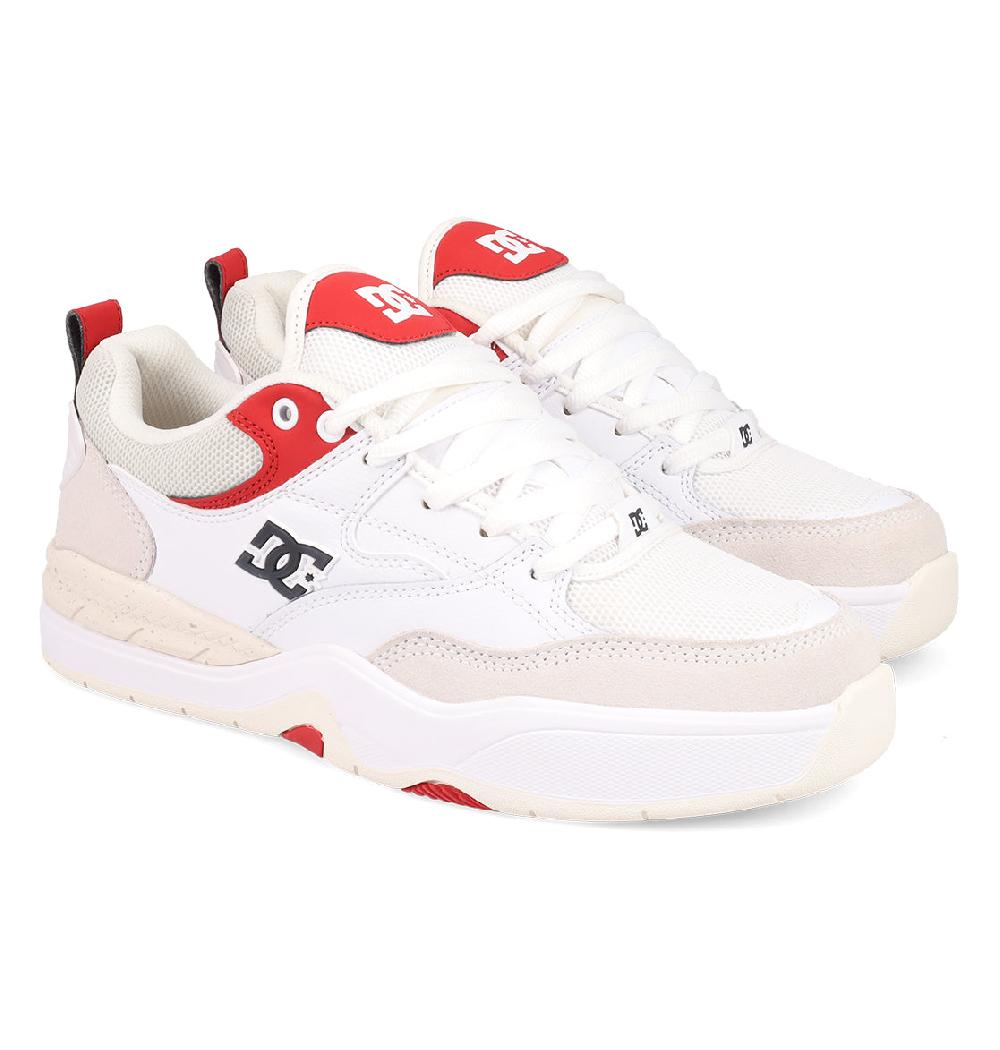 Dc Shoes Men's Ascend S Skate Shoes