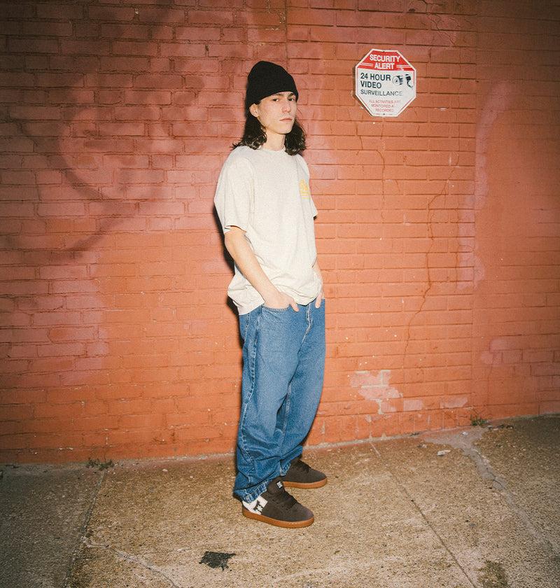 dc shoes Men's Court Graffik Shoes