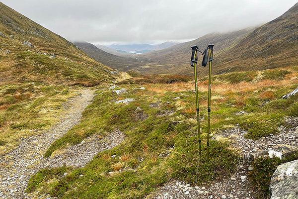 Dd Hammocks DD Hiking Pole