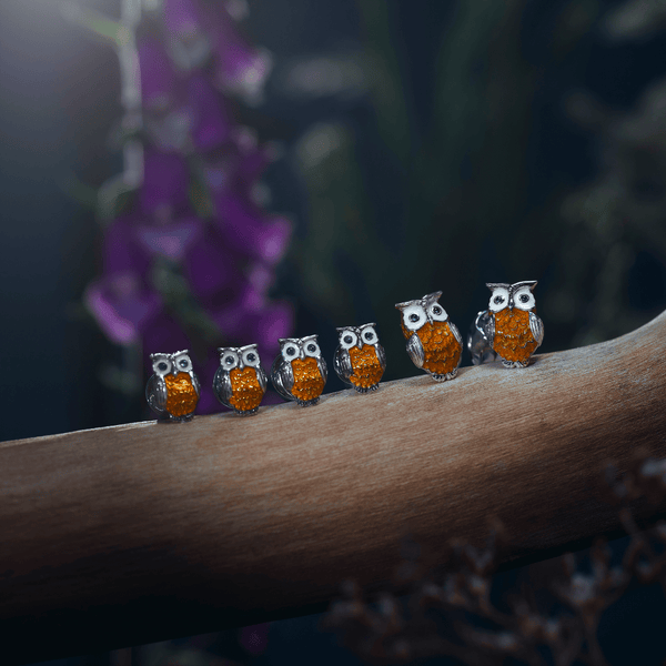 Deakin & Francis Sterling Silver Brown Owl Enamel Dress Stud Set