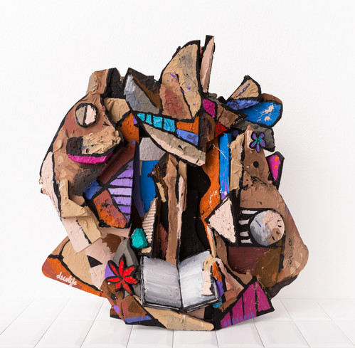 decolife Reader writer unsatisfied