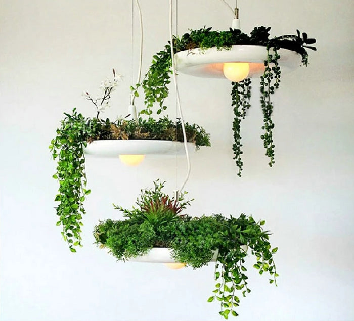 Decoramo Mauricio - Modern Planter Lampshade