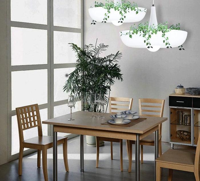 Decoramo Mauricio - Modern Planter Lampshade