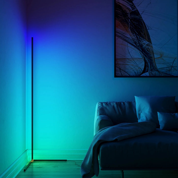 Decoramo Minimal Vibrancy RGB Floor Lamp