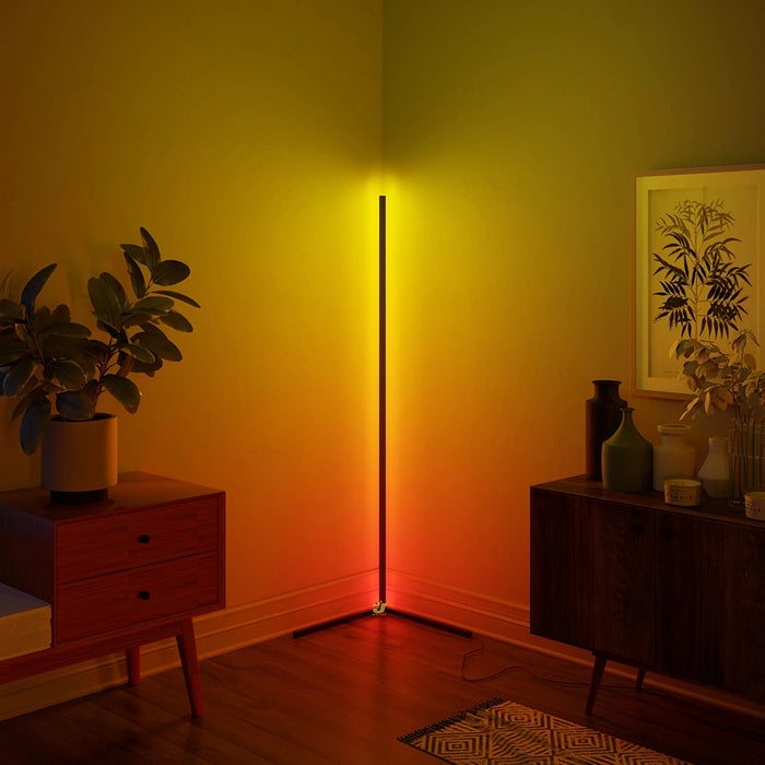 Decoramo Minimal Vibrancy RGB Floor Lamp