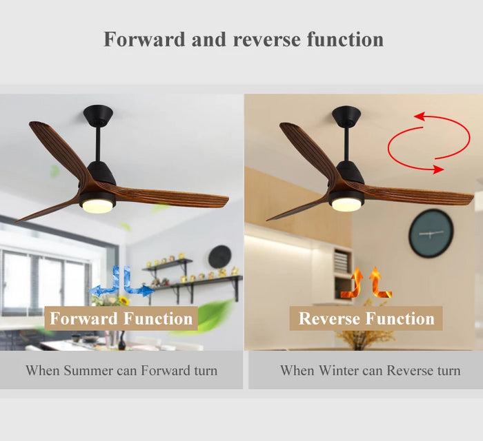 Decoramo Modern Nordic Ceiling Fan With LED Light