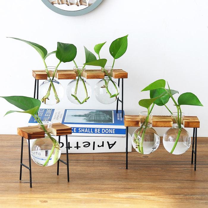 Decoramo Glass Bottle Vase Hydroponic Plant Transparent Vase Wooden Frame Coffee Shop Room Decor Table Desk Decoration Vase Terrarium