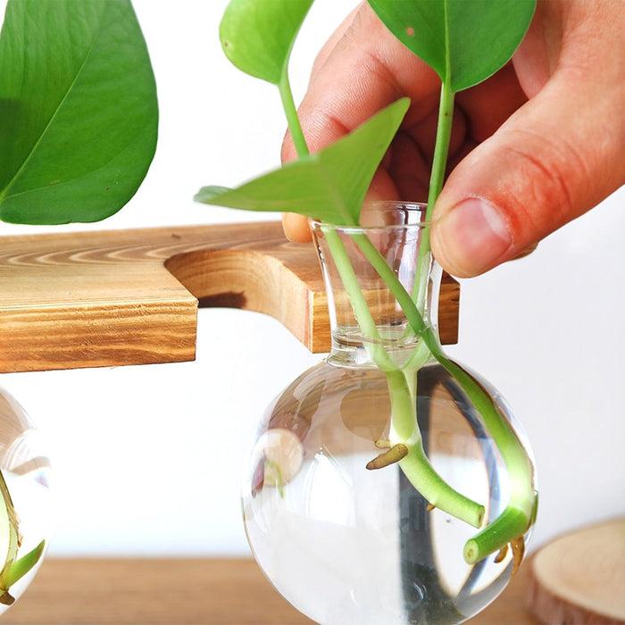Decoramo Glass Bottle Vase Hydroponic Plant Transparent Vase Wooden Frame Coffee Shop Room Decor Table Desk Decoration Vase Terrarium
